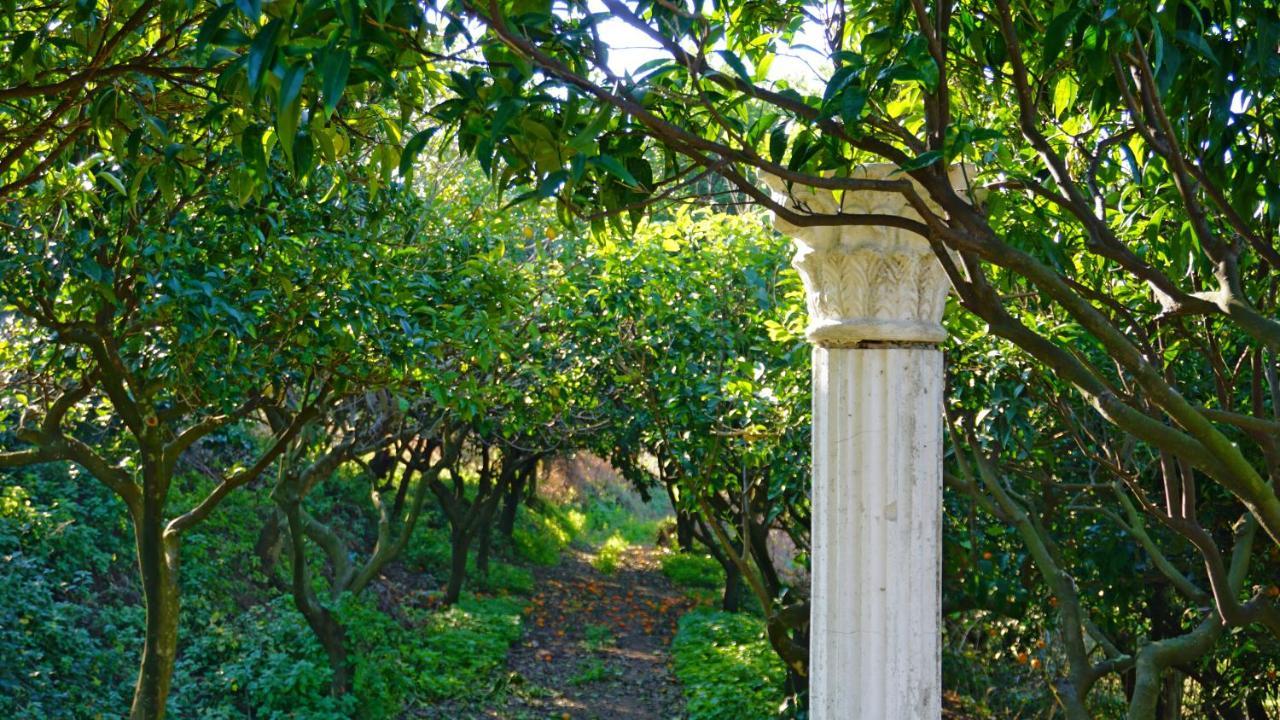 Tenuta Convivium Pozzuoli Esterno foto
